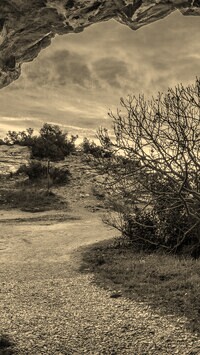 Szary + Sepia