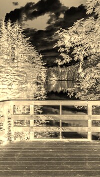 Sepia + Negatyw