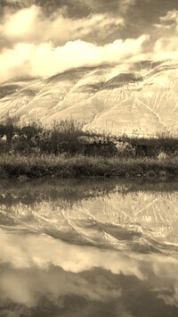 Szary + Sepia