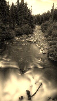 Sepia