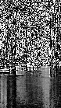 Skamielina