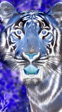 Negatyw