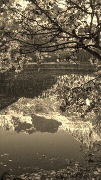 Szary + Sepia