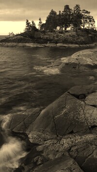 Sepia