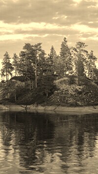 Szary + Sepia