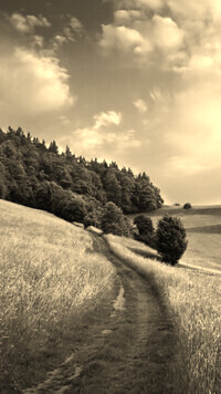 Szary + Sepia