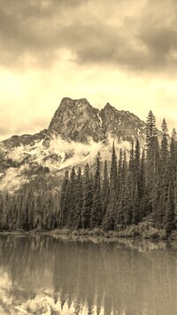 Szary + Sepia