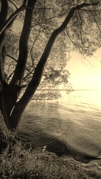 Szary + Sepia
