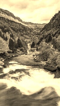 Szary + Sepia