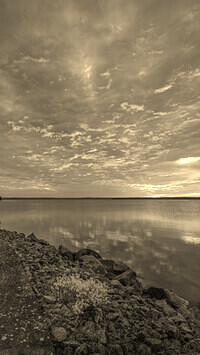 Sepia