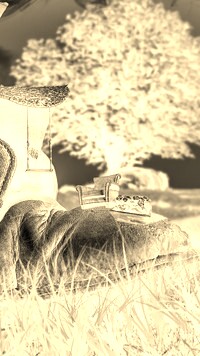 Sepia + Negatyw