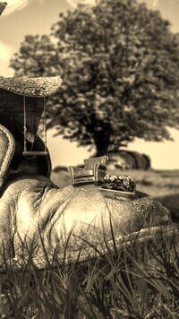Szary + Sepia