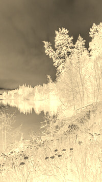 Sepia + Negatyw