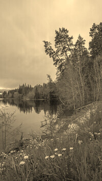 Sepia