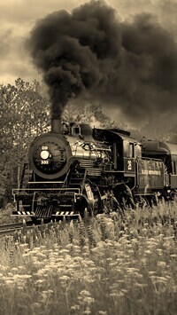 Szary + Sepia