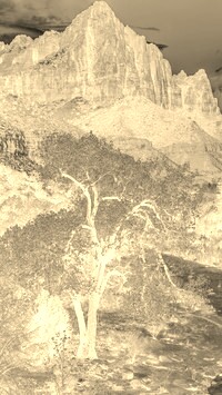 Sepia + Negatyw