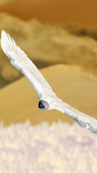 Negatyw