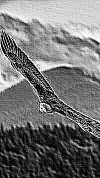Skamielina
