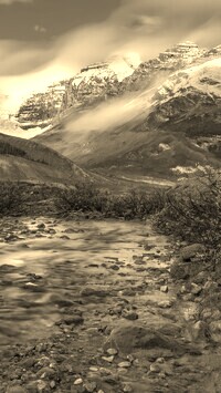 Szary + Sepia