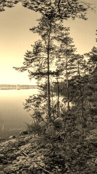 Szary + Sepia