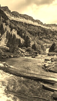 Szary + Sepia