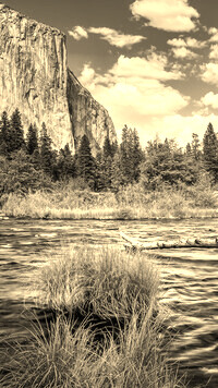 Szary + Sepia