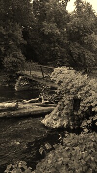 Szary + Sepia