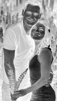 Szary + Negatyw