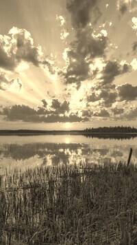Sepia