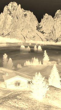 Sepia + Negatyw