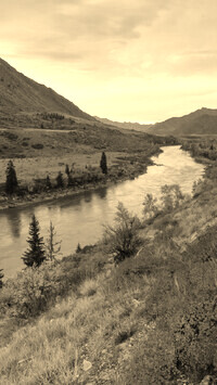 Sepia