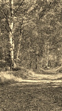 Szary + Sepia