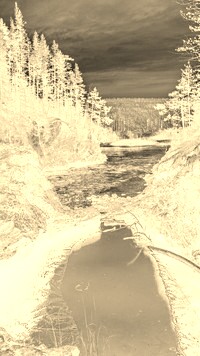 Sepia + Negatyw