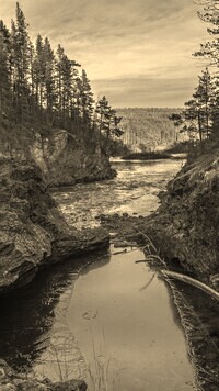 Sepia