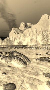 Sepia + Negatyw