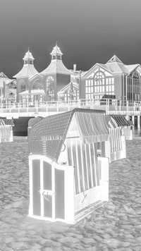 Szary + Negatyw