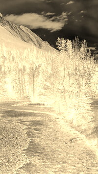 Sepia + Negatyw