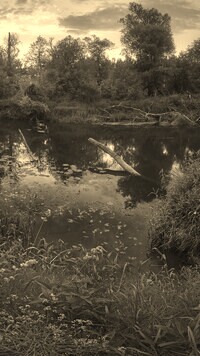 Szary + Sepia