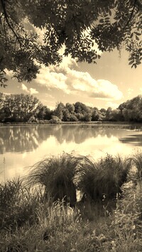 Szary + Sepia