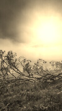 Szary + Sepia