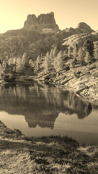 Szary + Sepia