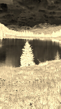Sepia + Negatyw