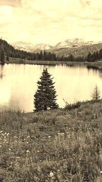 Sepia
