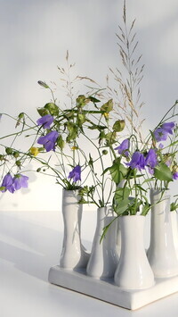 Oryginalny obrazek