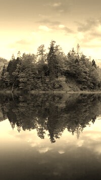 Szary + Sepia