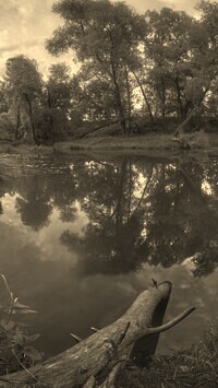 Sepia