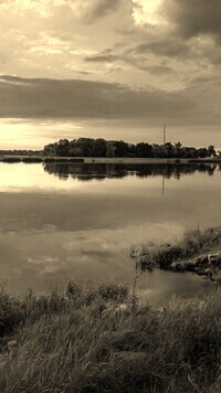Szary + Sepia