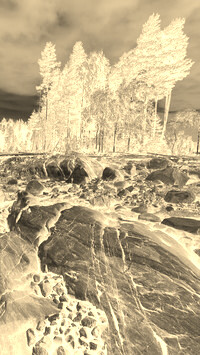Sepia + Negatyw