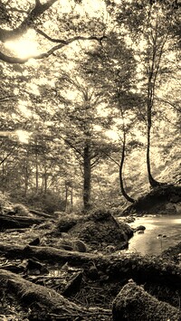 Szary + Sepia