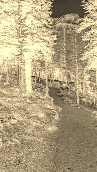 Sepia + Negatyw